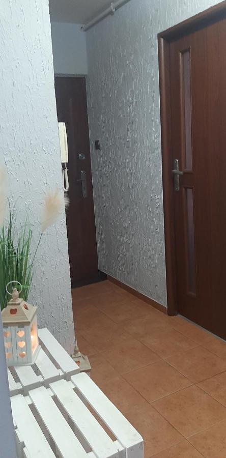 Flowers Apartament Lägenhet Piła Exteriör bild