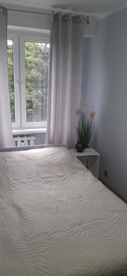 Flowers Apartament Lägenhet Piła Exteriör bild